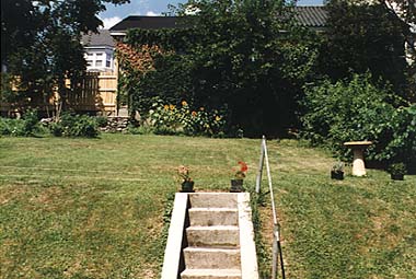 By summertime we had sunflowers growing, and a string outline of where the vegetable garden would go.