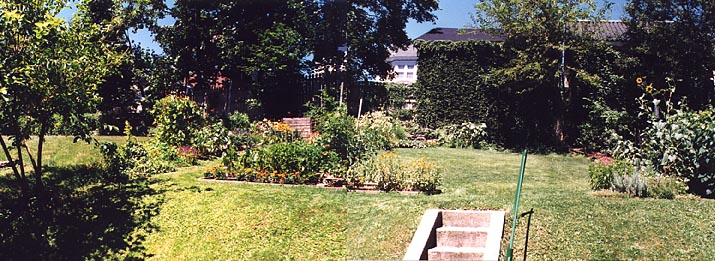 A year later, we had a composter made from wood pallets, and the start of our garden.