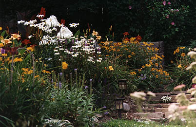 Our cottage garden with mission lighting.