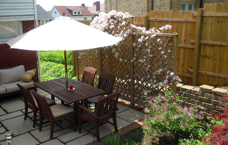 A beautiful clematis growing on the handmade trellis.