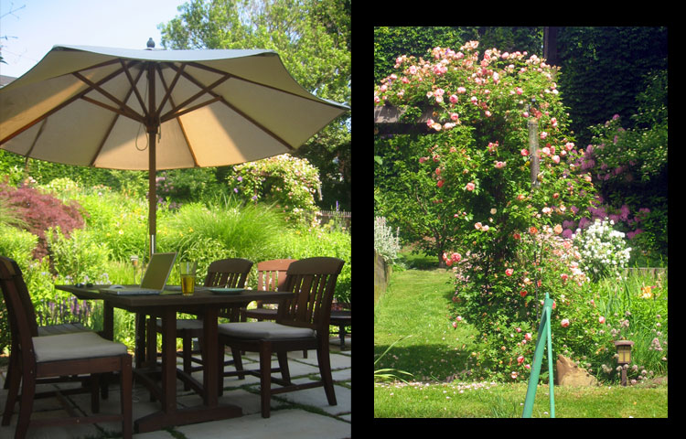 The finished backyard. Arbor with clematis and roses provide blooms from May through September.