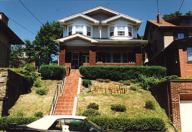 One year later, things look a lot better, but cutting the hillside with a weed whacker was not a long term solution.