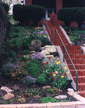 Two years later, the hillside was transformed into a colorful landscape with many compliments from people who passed by.