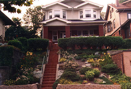 Year three, the front hillside was done. Grass cutting was replaced with annual mulching and regular pruning. No less work in the end, but beautiful with flowers nearly all year.