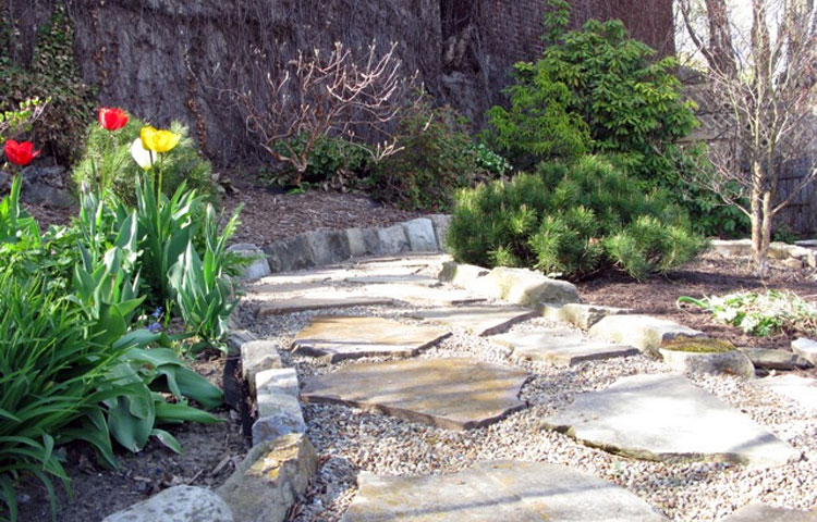 A path winds around the back of the yard. It's bordered by perennials, a mugo pine, oakleaf hydrangea, and stewartia tree.